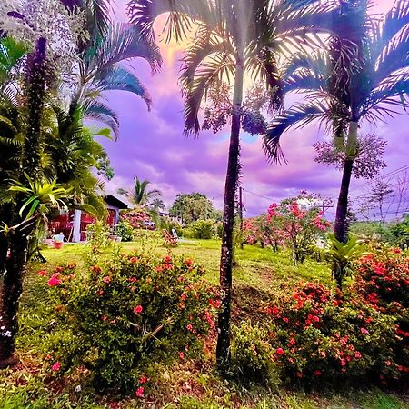 Hotel Tierra De Volcanes La Fortuna Dış mekan fotoğraf