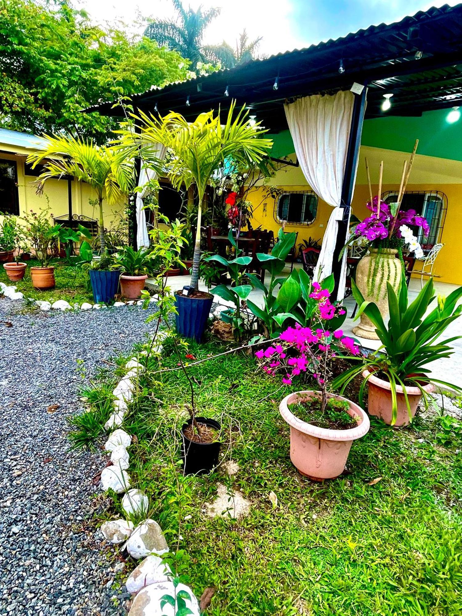 Hotel Tierra De Volcanes La Fortuna Dış mekan fotoğraf