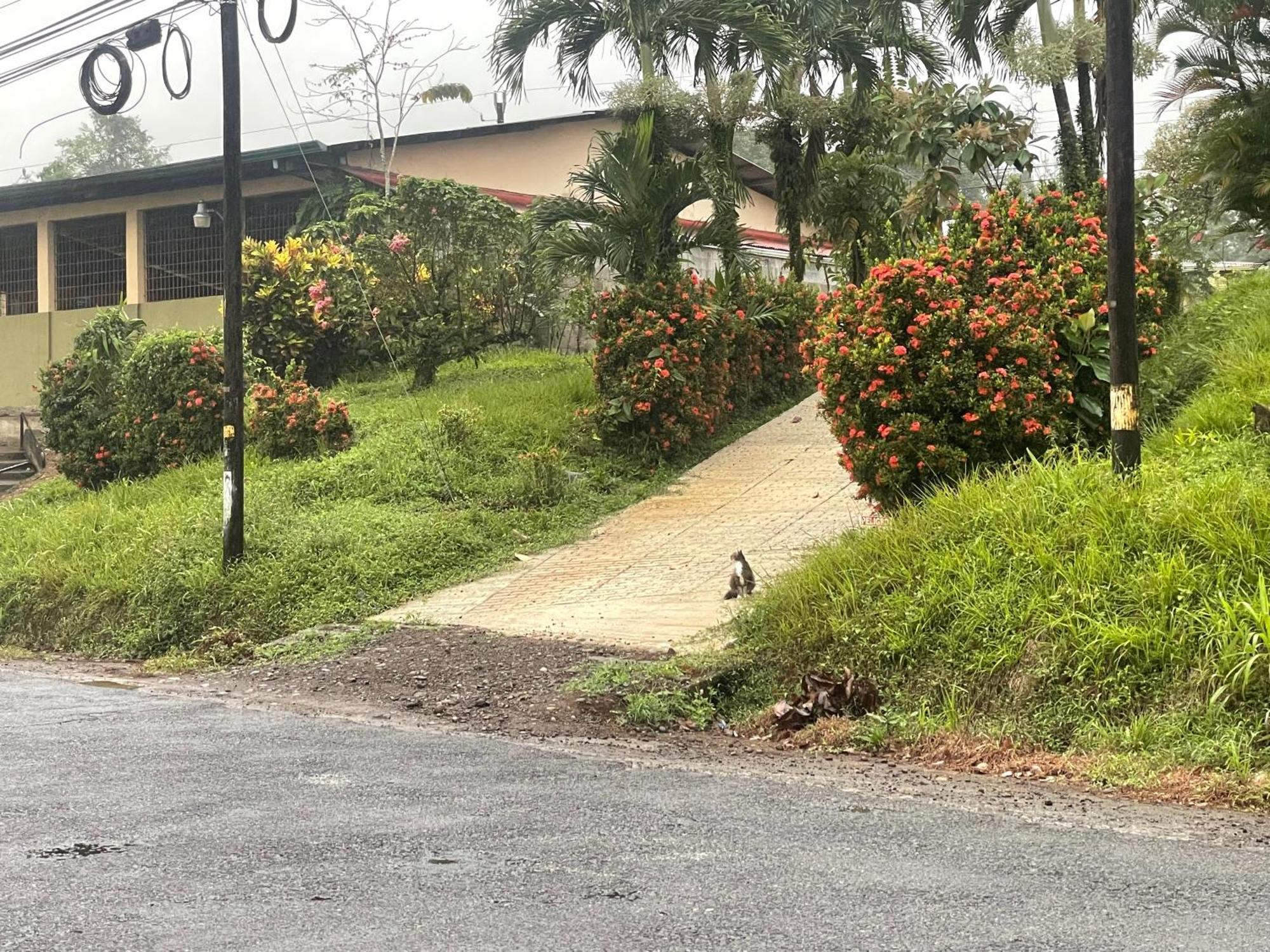 Hotel Tierra De Volcanes La Fortuna Dış mekan fotoğraf