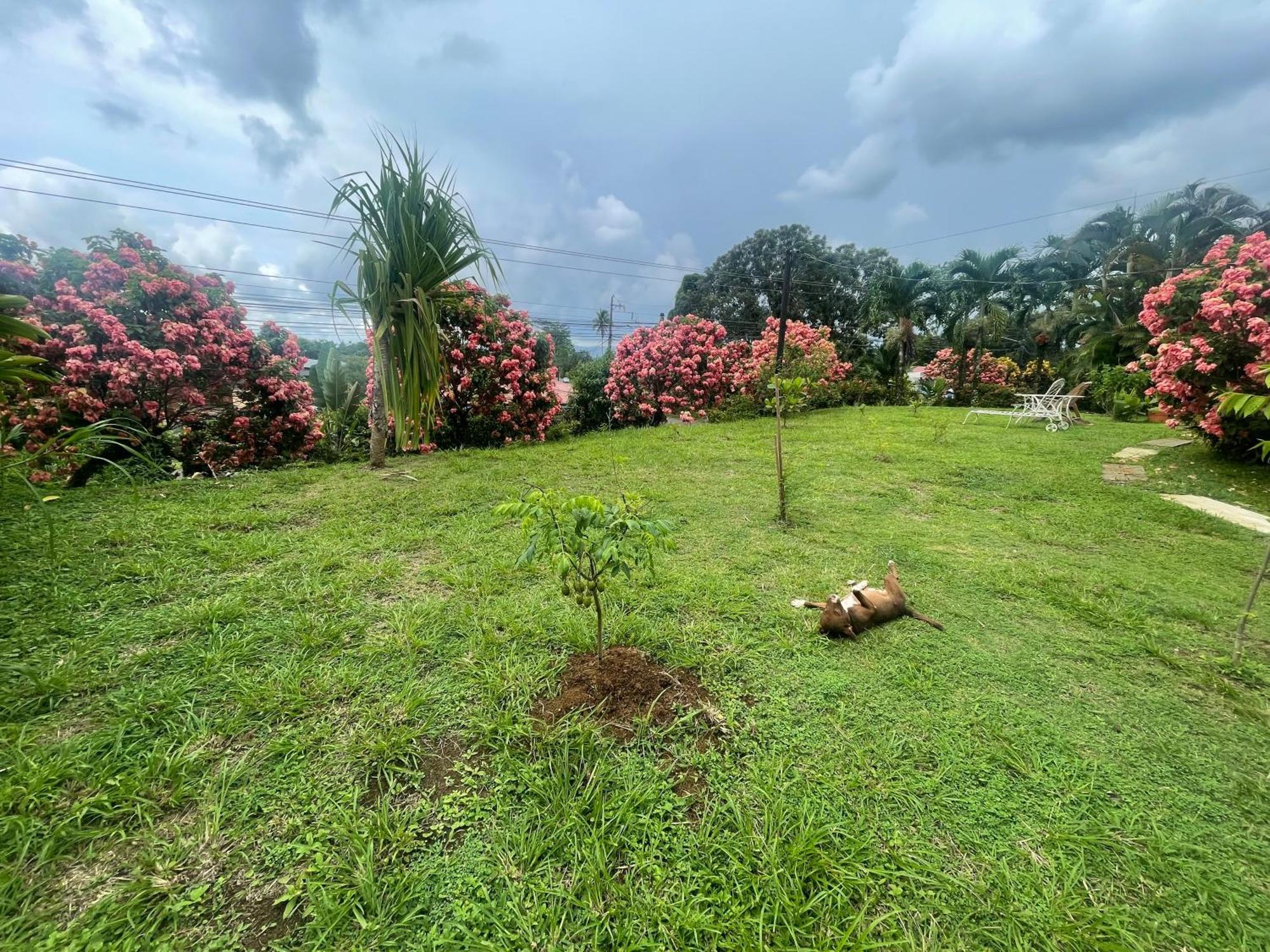 Hotel Tierra De Volcanes La Fortuna Dış mekan fotoğraf
